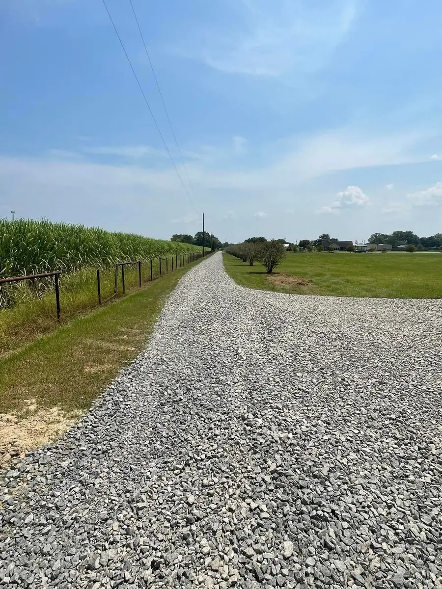 Fresh crushed-stone driveway along a sugarcane field in Acadiana
