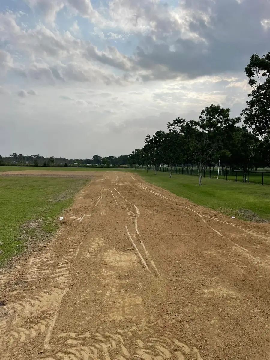 Graded dirt drive lined with trees